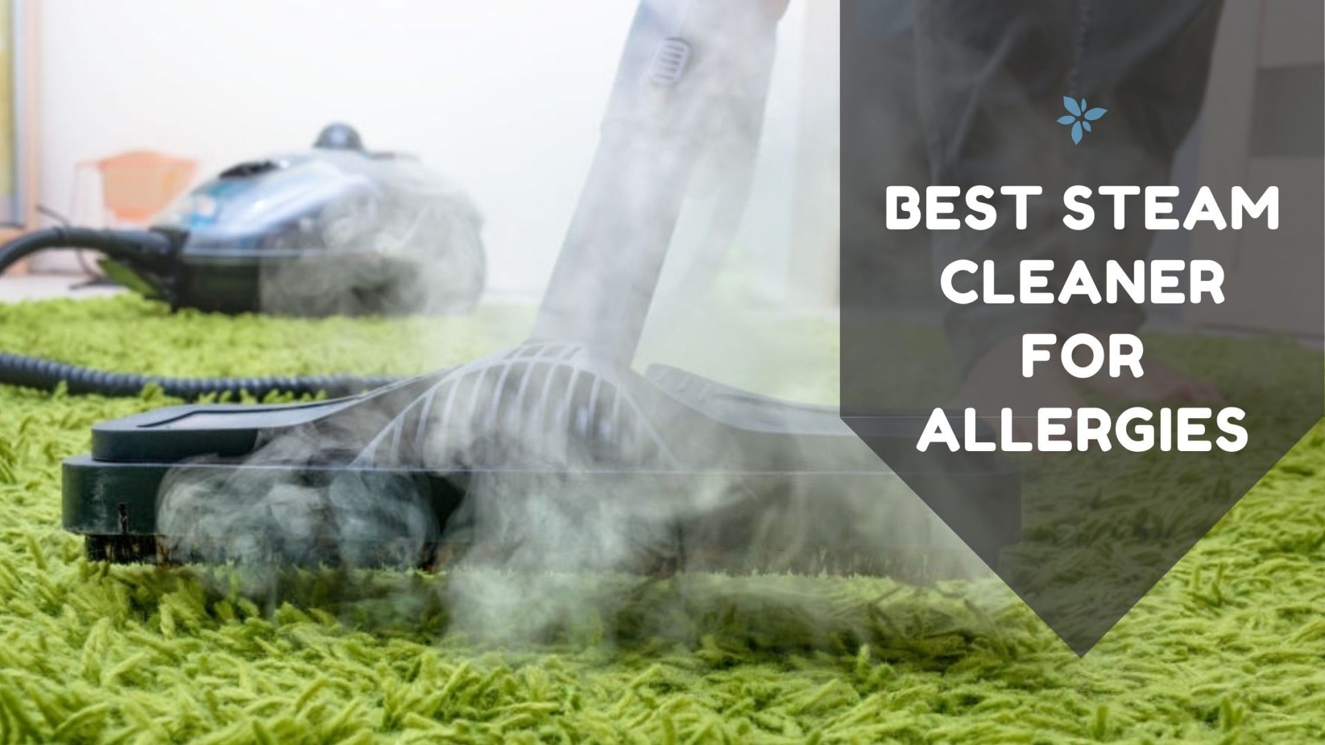 Best Steam Cleaner for Allergies