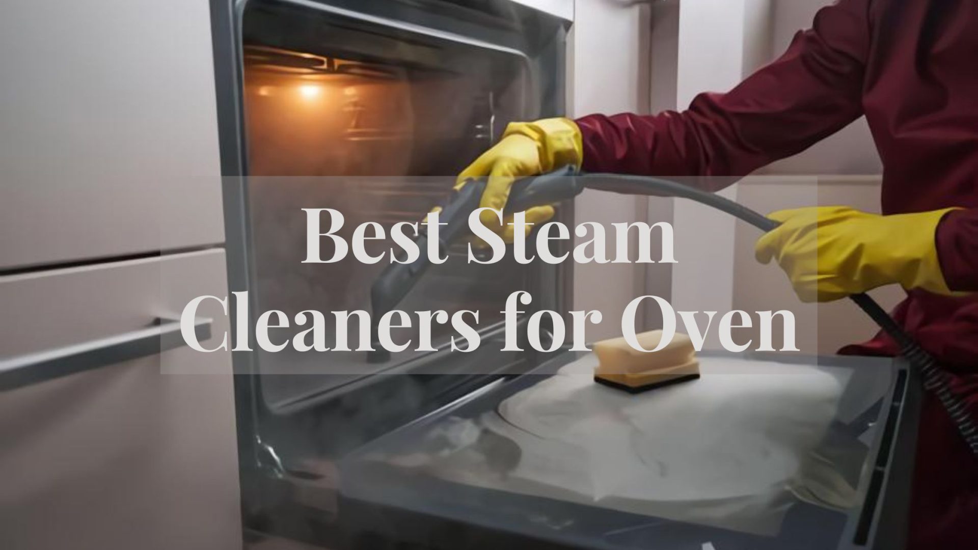 Best Steam Cleaners for Oven