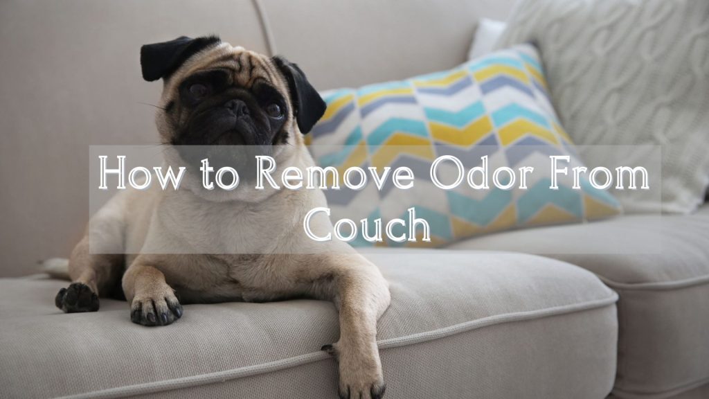 How to Remove Odor From Couch