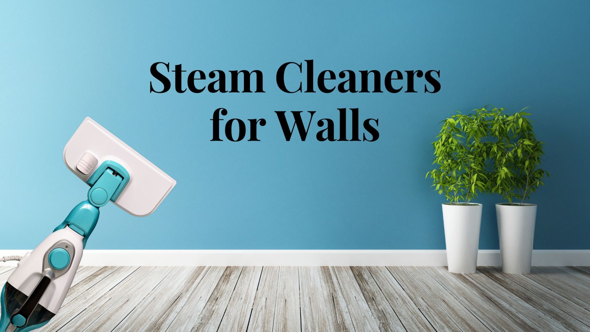 Steam Cleaners for Walls