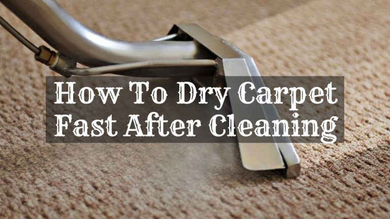 How To Dry Carpet Fast After Cleaning