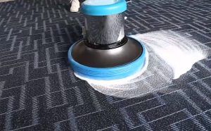 Carpet Shampooer Deep Cleaning